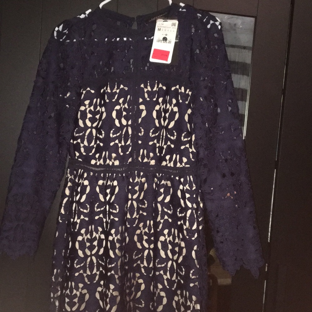 Zara Navy Lace Cocktail Dress